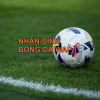nhandinhbongdawap