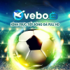 vebozbfcc