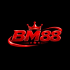 bbm88ink
